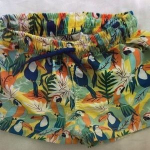Tropical Parrot Kids Swim Trunks